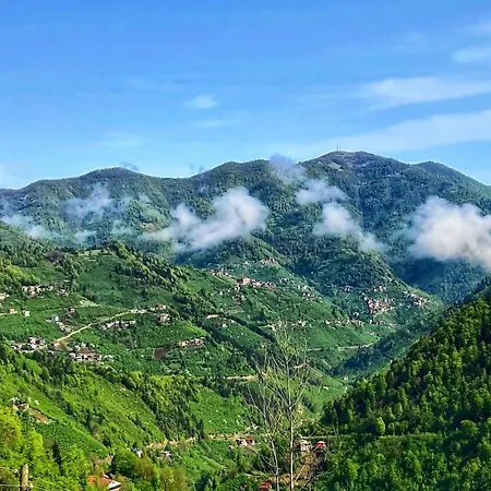 Mountain House-uzunlu Dağ evi Trabzon