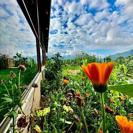 Mountain House-uzunlu Dağ evi Trabzon